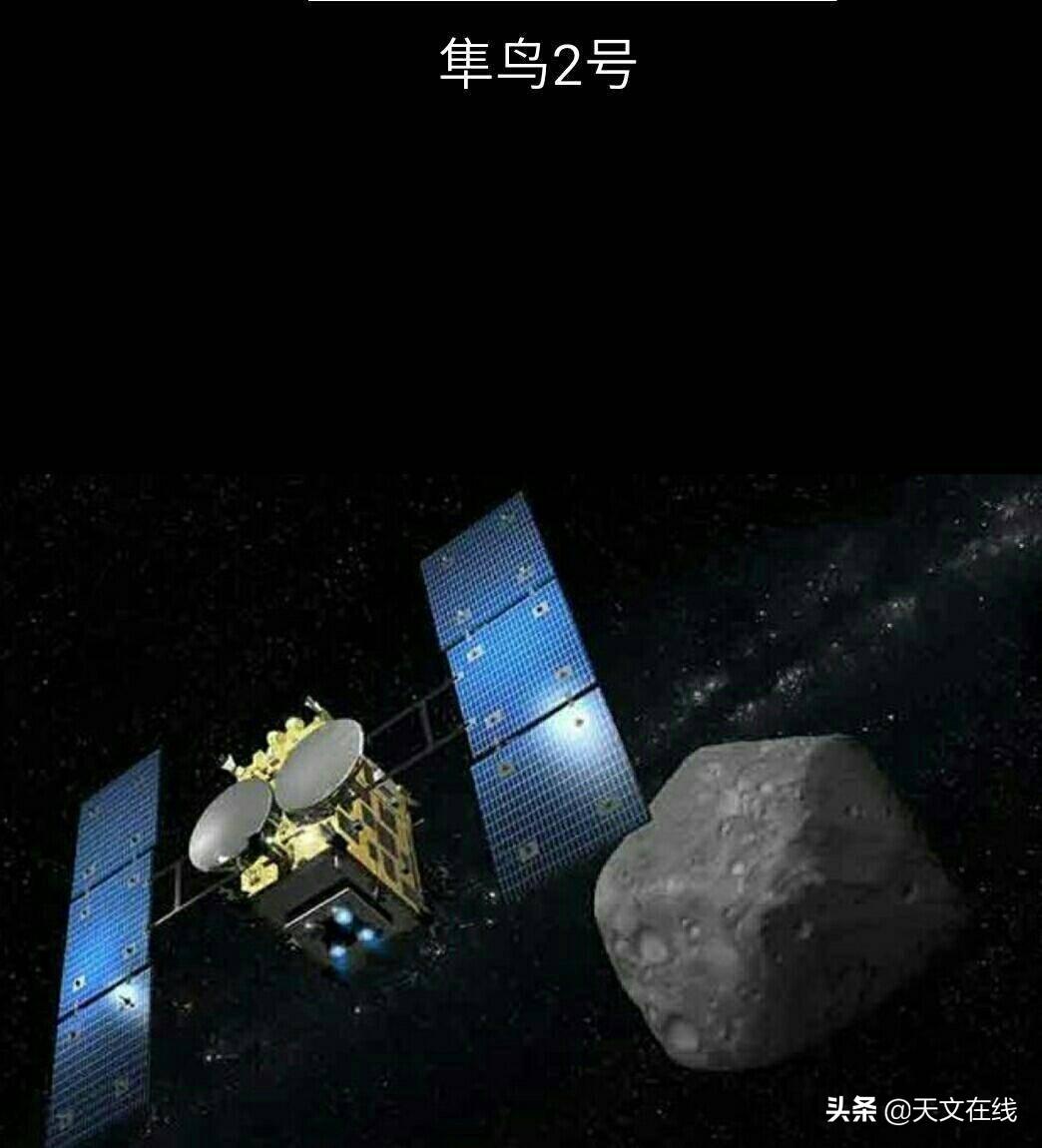 蛇鼠一窝定发家,好汉不吃回头草是什么生肖，全面释义、精准解答解释落实