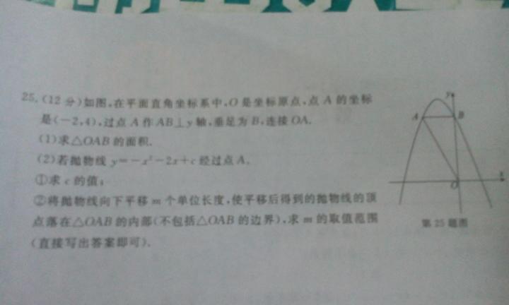狗拿贼鼠满地跑狐假虎威一家主是什么生肖警惕虚假宣传、全面解答与解释、全面解答解释落实