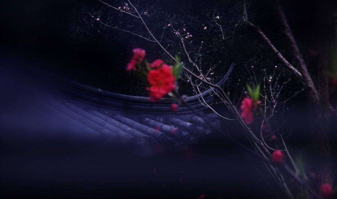 前欢往恨分明在,酒兴诗情大半亡打一生肖与警惕虚假宣传-全面释义、科学解答解释落实