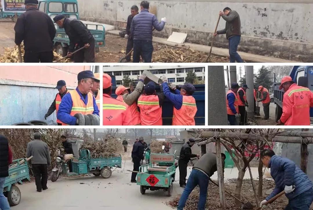 实靠想像，真辦不到 樹根豈可當髯鬚打一生肖,警惕虚假宣传、全面解答、构建解答解释落实
