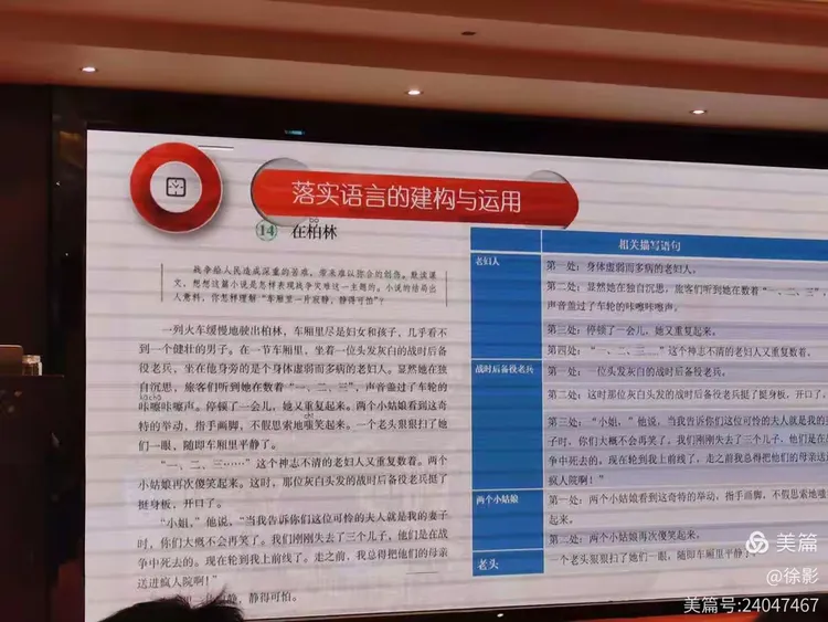 狡兔三窟打一准确生肖警惕虚假宣传、全面解答与解释、前沿解答解释落实